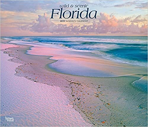 Florida, Wild & Scenic 2019 Calendar