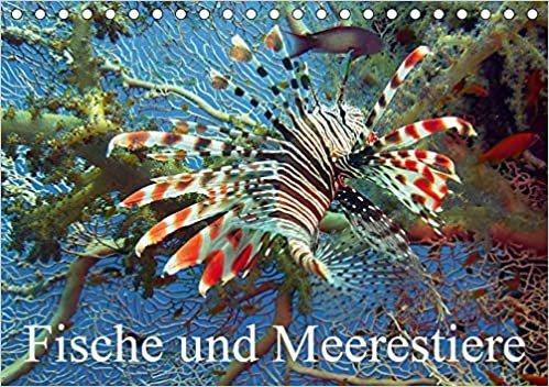 Fische und Meerestiere (Tischkalender 2020 DIN A5 quer): Die farbenfrohe Unterwasserwelt unserer Ozeane (Monatskalender, 14 Seiten ) (CALVENDO Tiere)