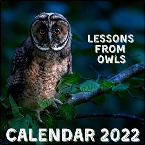 Lessons From Owls Calendar 2022: September 2021 - December 2022 Monthly Planner Mini Calendar With Inspirational Quotes