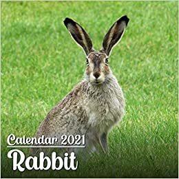 Calendar 2021 Rabbit: Cute Rabbit Photos Monthly Mini Calendar | Small Size