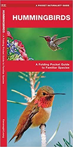 Hummingbirds: A Folding Pocket Guide to Familiar Species (Pocket Naturalist Guide Series) indir