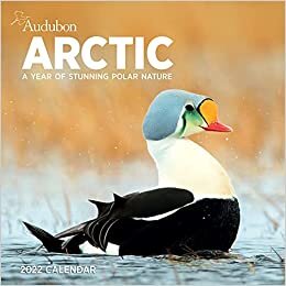 2022 Audubon Arctic Calendar indir