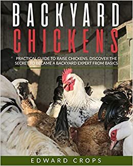 Backyard Chickens: PRACTICAL GUIDE TO RAISE CHICKENS. DISCOVER THE SECRET TO BECAME A BACKYARD EXPERT FROM BASICS.