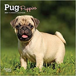 Pug Puppies 2021 Calendar