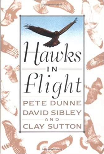 Hawks in Flight: The Flight Identification of North American Migrant Raptors