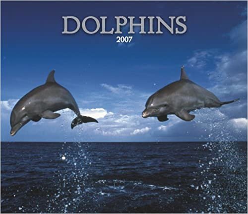 Dolphins 2007 Deluxe Calendar
