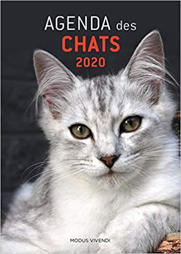 Agenda des chats 2020 (Agenda annuels) indir