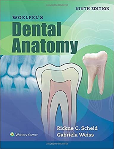 Scheid, R: Woelfels Dental Anatomy indir