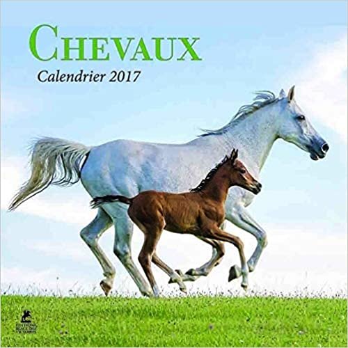 Chevaux calendrier 2017