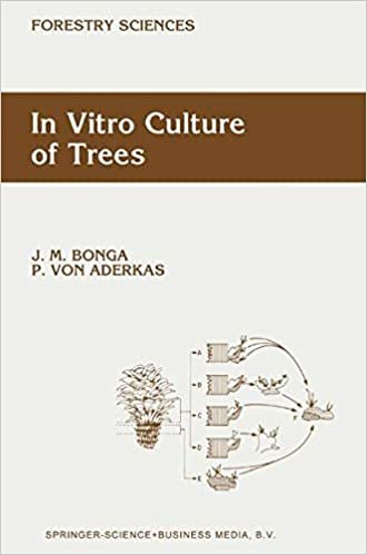 In Vitro Culture of Trees (Forestry Sciences (38), Band 38)