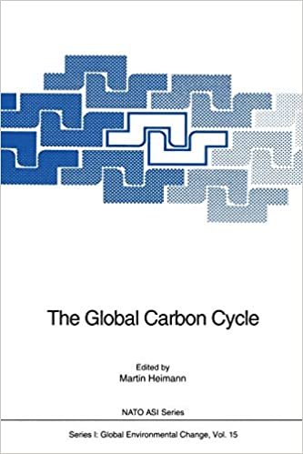 The Global Carbon Cycle (Nato ASI Subseries I: (15), Band 15)