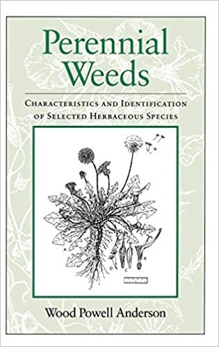 Perennial Weeds: Characteristics and Identification of Selected Herbaceous Species indir