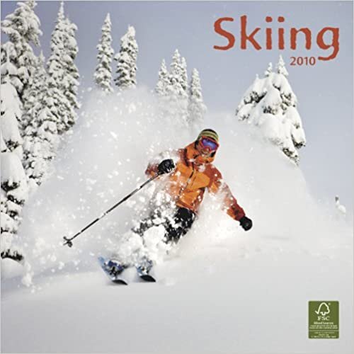Skiing 2010 indir