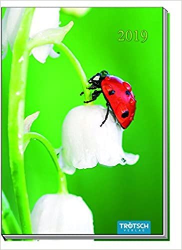 Taschenkalender 2019 Marienkäfer A6: Buchkalender Taschenterminer indir