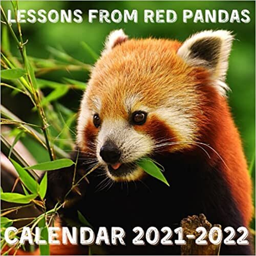 Lessons From Red Pandas Calendar 2021-2022: 14 Month Square Photo Monthly Planner Mini Calendar With Inspirational Quotes