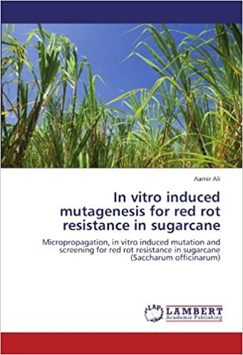 In vitro induced mutagenesis for red rot resistance in sugarcane: Micropropagation, in vitro induced mutation and screening for red rot resistance in sugarcane (Saccharum officinarum) indir