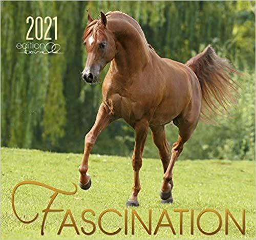 Fascination 2021: Arabische Pferde indir