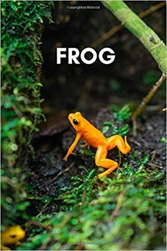 Frog: Animal Notebook for Kids, Notebook for Coloring Drawing and Writing (110 Pages, Unlined, 6 x 9) (Animal Glossy Notebook)