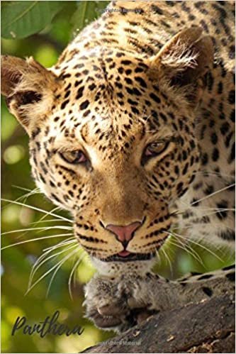 Panthera: Notebook with Animals for Kids, Notebook for Coloring Drawing and Writing (Realistic Colors, 110 Pages, Unlined, 6 x 9)(Animal Glossy Notebook)
