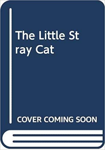 The Little Stray Cat
