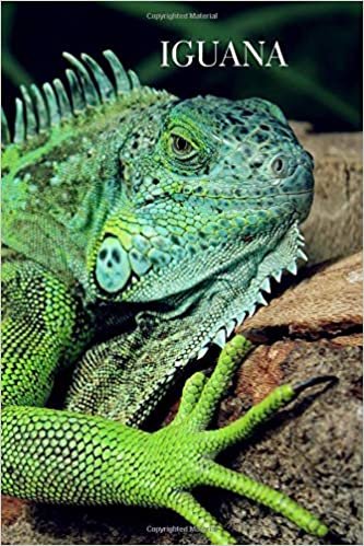 Iguana: Animal Notebook for Coloring Drawing and Writing (110 Pages, Unlined, 6 x 9) (Animal Notebook) indir