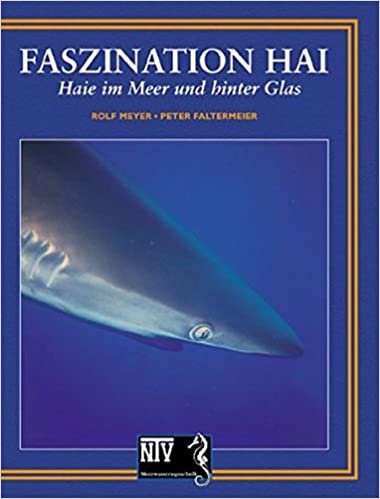 Faszination Hai: Haie im Meer und hinter Glas (NTV Meerwasseraquaristik) indir