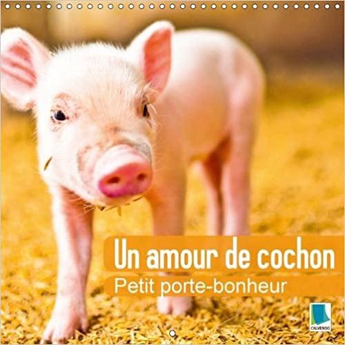Un amour de cochon - Petit porte-bonheur 2016: Des petits cochons porte-bonheur (Calvendo Animaux)