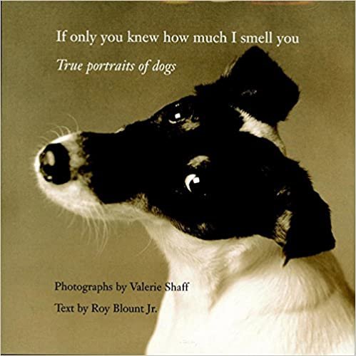 If Only You Knew How Much I Smell You: True Portraits of Dogs: True Portrait of Dogs