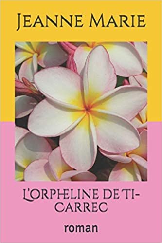 L'orpheline de Ti-Carrec: roman