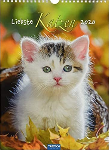 Classickalender "Liebste Katzen" 2020