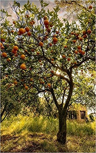 Notebook: Orchard Farming Fruit Growing Orchards Organic Farm Permaculture 5" x 8" 150 Ruled
