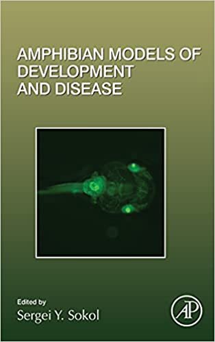 Amphibian Models of Development and Disease (Volume 145) (Current Topics in Developmental Biology, Volume 145, Band 145)