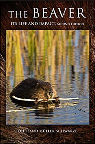 The Beaver: Natural History of a Wetlands Engineer indir