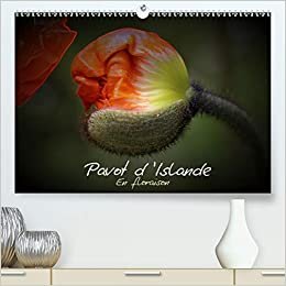 Pavot d'Islande en floraison (Premium, hochwertiger DIN A2 Wandkalender 2021, Kunstdruck in Hochglanz): Le pavot d'Islande depuis le bouton jusqu'à la ... mensuel, 14 Pages ) (CALVENDO Nature) indir