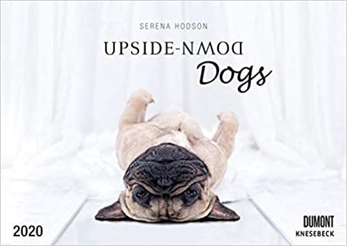 Upside-Down Dogs/Hunde 2020 stehen Kopf indir