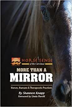 More Than a Mirror: Horses, Humans & Therapeutic Practices (Horse Sense of the Carolinas)