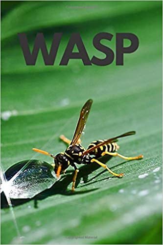 WASP: Notebook, Journal, Diary (110 Pages, Unlined, 6 x 9) (Animal Glossy Notebook)