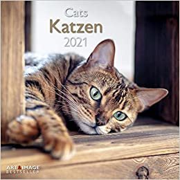 Katzen 2021 - Wand-Kalender - Broschüren-Kalender - A&I - 30x30 - 30x60 geöffnet: Cats indir