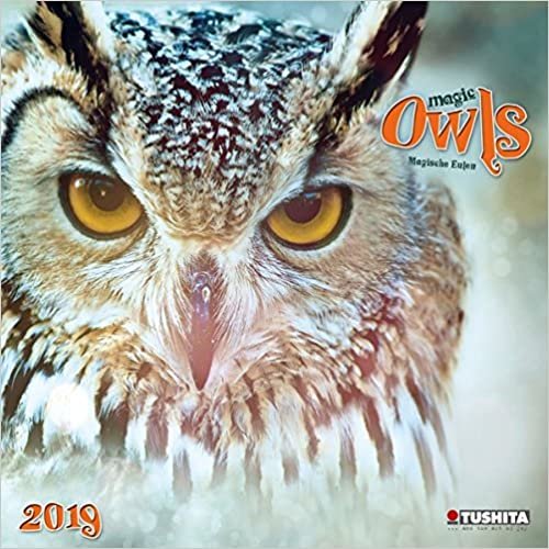 Magic Owls 2019: Kalender 2019 (Wonderful World)