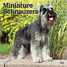 Miniature Schnauzers 2019 Calendar