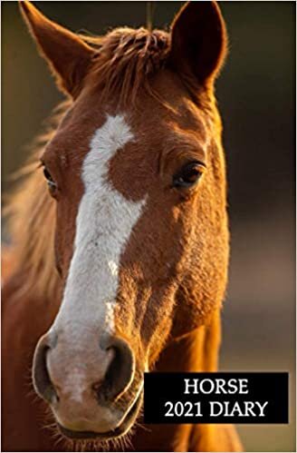 Horse 2021 Diary: Equine themed Weekly Pocket Diary Planner 5.25 x 8 compact size. Vertical at a glance layout, perfect for purse, briefcase or desk. ... for friends and family. Horse lovers too.