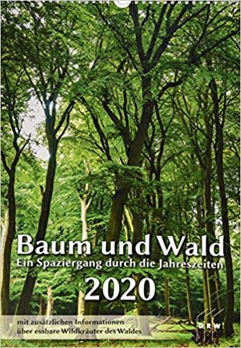 Baum und Wald 2020