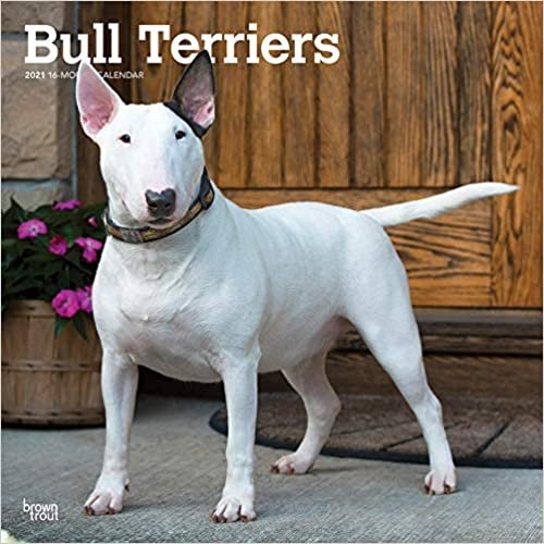 Bull Terriers - Bull Terrier 2021 - 18-Monatskalender mit freier DogDays-App: Original BrownTrout-Kalender [Mehrsprachig] [Kalender] indir