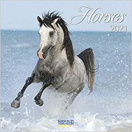 Horses 2021: Broschürenkalender mit Ferienterminen. Pferde und Ponys indir