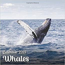 Calendar 2021 Whales: Cute Whales Photos Monthly Mini Calendar | Small Size