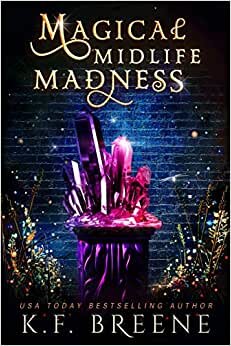 Magical Midlife Madness (Leveling Up, Band 1) indir
