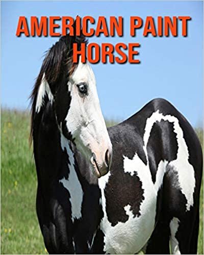 American Paint Horse: Beautiful Pictures & Interesting Facts Children Book About American Paint Horse