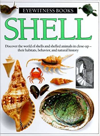 Shell (Eyewitness Books)