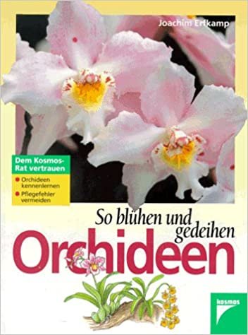 So blühen und gedeihen Orchideen. Orchideen kennenlernen. Pflegefehler vermeiden