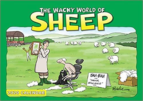 Wacky World of Sheep A4 Calendar 2020 indir